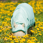 Horseware Rambo Petite Hoody Ice Green