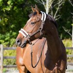 Horze Howard riimu Tummanruskea