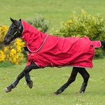Horseware Amigo Hero ACY Plus T/O Med Red/White/Green/Black