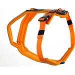 Non-stop Dogwear Valjaat Line Harness Oranssi