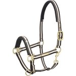 Eskadron Riimu, Pin Buckle Ruskea