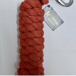 Globus LEAD REIN, bolt snap, 180cm Orange