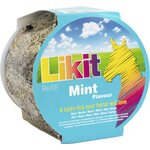 Likit nuolukivi, 650g Minttu
