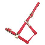 Horse Comfort Turvalta avattava nailonriimu toppauksin Punainen