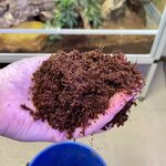 Giganterra kookosharkko 650g.