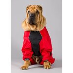 Globus DOG SUIT