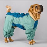 Globus DOG SUIT