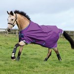 Horseware Amigo Bravo-12 T/O 100g w/la