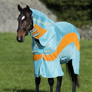 Horseware Amigo Evolution untreated