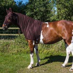 Snuggy Hoods Sweet Itch Anti-Itch Horse Hood-ZY