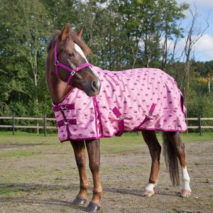 Horze sadeloimi ponille