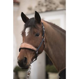Lauria Garrelli Head collar -Moena-
