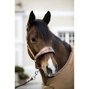Lauria Garrelli Head collar -Moena-