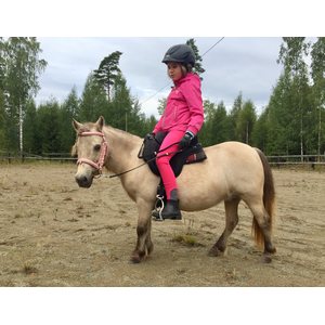 HKM rungoton satula shettikselle