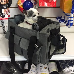 Dogman kantolaukku, Ludde