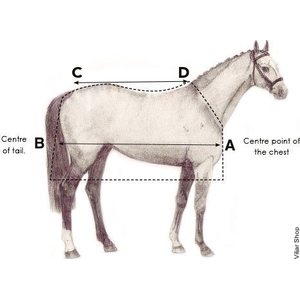 Horseware Amigo Hero ACY vuoreton sadeloimi + kaulakappale, Disc