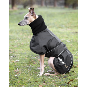 Back on Track takki isommille whippeteille, koot 53-65cm