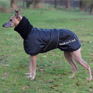 Back on Track takki isommille whippeteille, koot 53-65cm