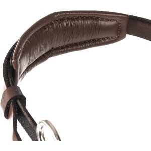 Kukka hackamore