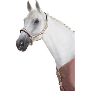 Eskadron Riimu, Pin Buckle