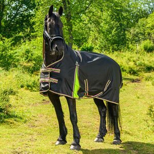 Globus highneck sadeloimi Figaro2, 200g