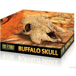 Exoterra häränkalloluola