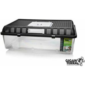 Giganterra Gigabox Wide muoviterraario, 41,8 x 26 x 14,5cm