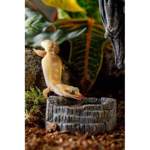 Exoterra tiki pieni vesiastia