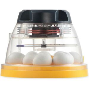 Mini II Eco hautomakone linnunmunille
