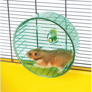 Zooman pieni juoksupyörä Rolly 14cm