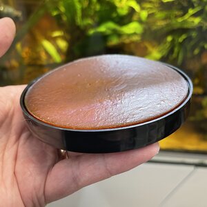 Tropical DIY Gel Formula, Omnivorous 3x35g.