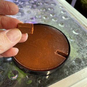 Tropical DIY Gel Formula, Omnivorous 3x35g.