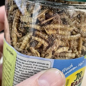 JR Farm jyrsijän proteiinicoctail 75g