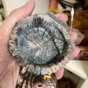 Exoterra tiki pieni vesiastia