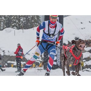Non-stop Dogwear yhdistelmävaljas