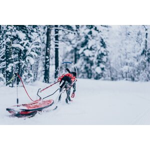 Non-stop Dogwear yhdistelmävaljas