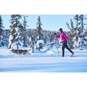 Non-stop Dogwear Trekking belt