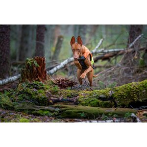 Non-stop Dogwear Protector vest, metsästystakki