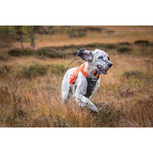 Non-stop Dogwear Protector vest, metsästystakki