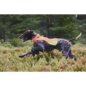 Non-stop Dogwear Huomioliivi