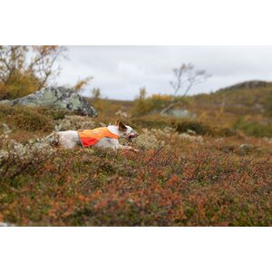 Non-stop Dogwear Huomioliivi