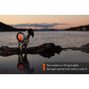 Non-stop Dogwear Heijastinliivi