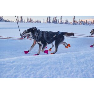 Non-stop Dogwear Polar Coll