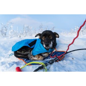 Non-stop Dogwear Musher sleeping mat