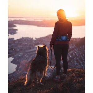 Non-stop Dogwear Ferd belt, vaellusvyö