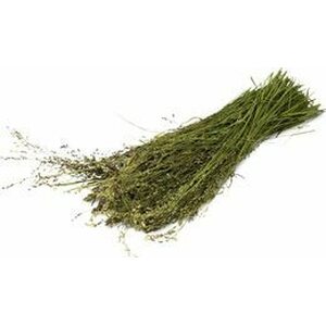 JR Farm Villiruoho 80g.