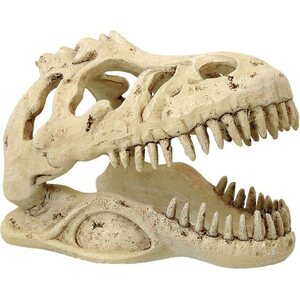 Exoterra T-Rex pieni pääkallo, 13,5cm