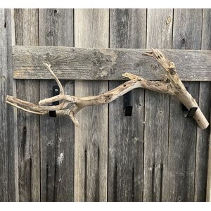 Talawa juurakko, 50-70cm