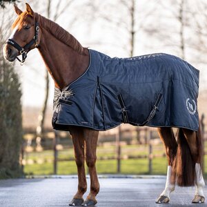 Back on Track Millie talliloimi 200g