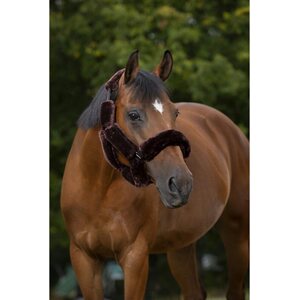 Equi-Thème Pehmustesetti riimuun